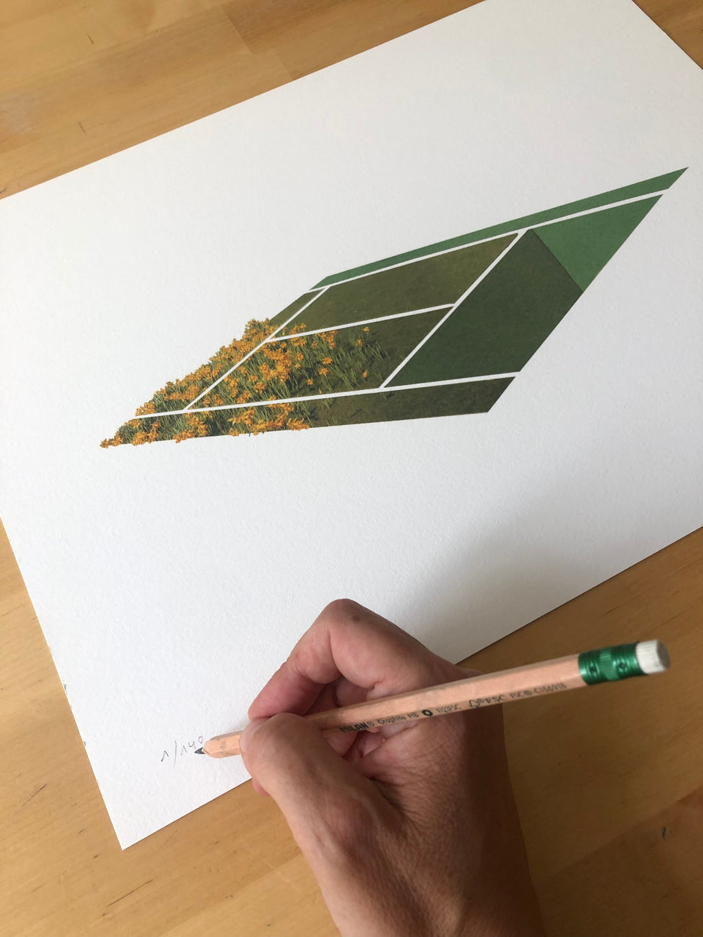 Març Rabal "Flowery grass court" Print