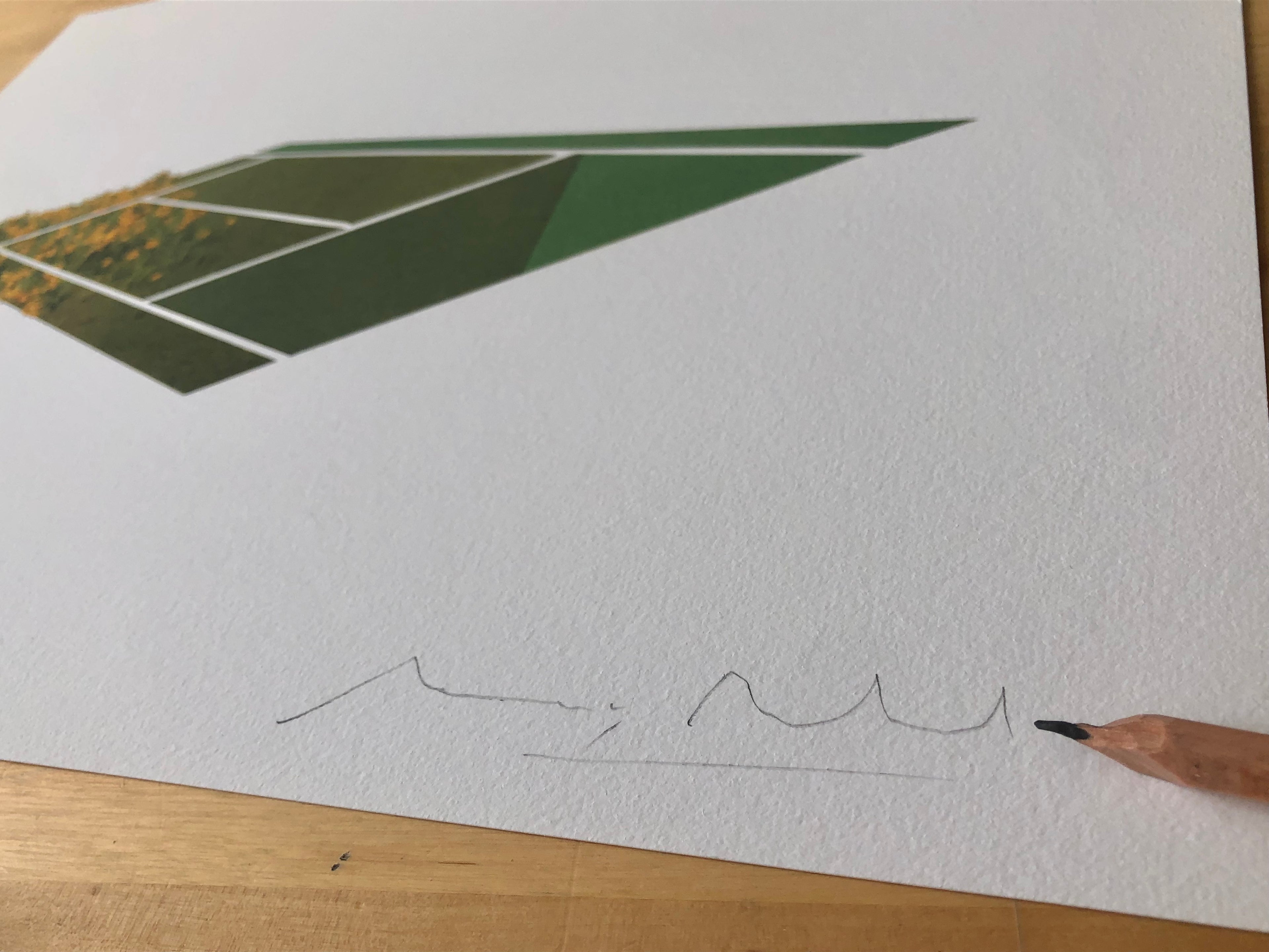 Març Rabal "Flowery grass court" Print